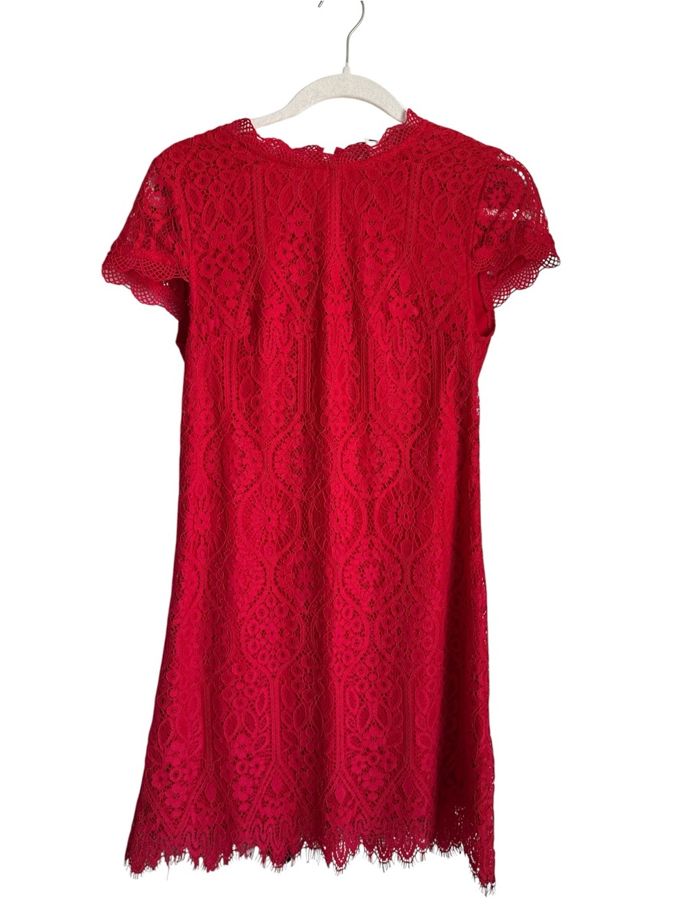 Francesca’s Lace Short Sleeve Dress